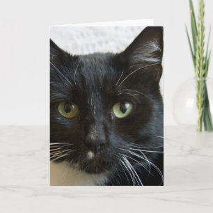 Carte de voeux verticale : Lilly le chat
