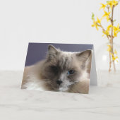 Carte de voeux vide (Fleur jaune)