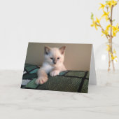 Carte de voeux vide (Fleur jaune)