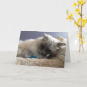 Carte de voeux vide (Fleur jaune)