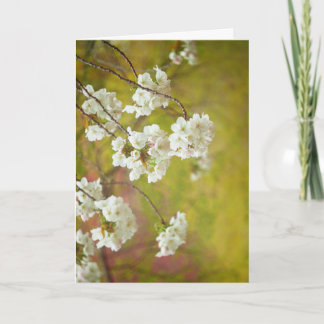 Carte de voeux, vide à l'intérieur