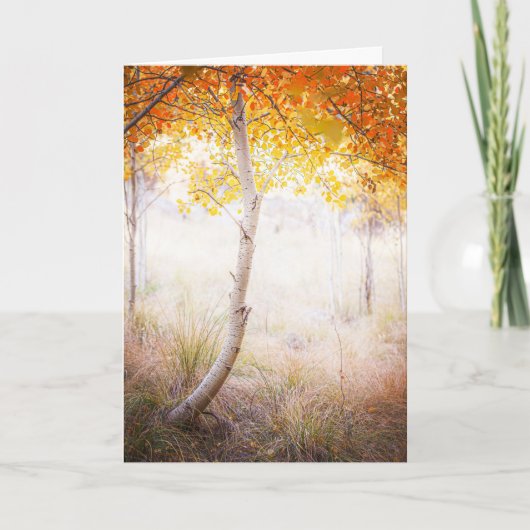 Carte de voeux, vide à l'intérieur (Devant)