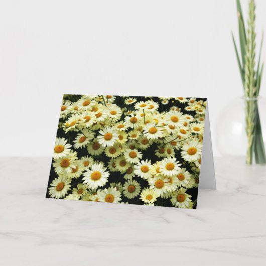 Carte de voeux vide de la marguerite (Devant)