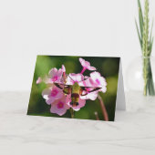 Carte de voeux vide de papillon de nuit (Devant)