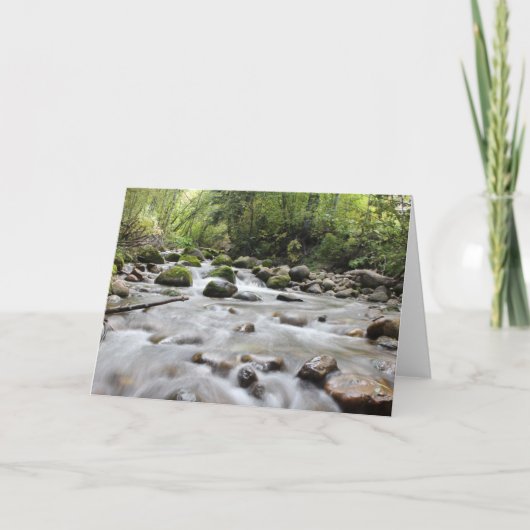 Carte de voeux vide Forest Stream (Devant)