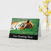 Carte de vœux vide Tigre couché (Fleur jaune)