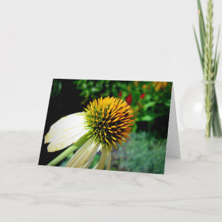 Carte de voeux vierge