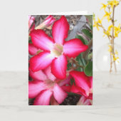 Carte de voeux vierge (Fleur jaune)