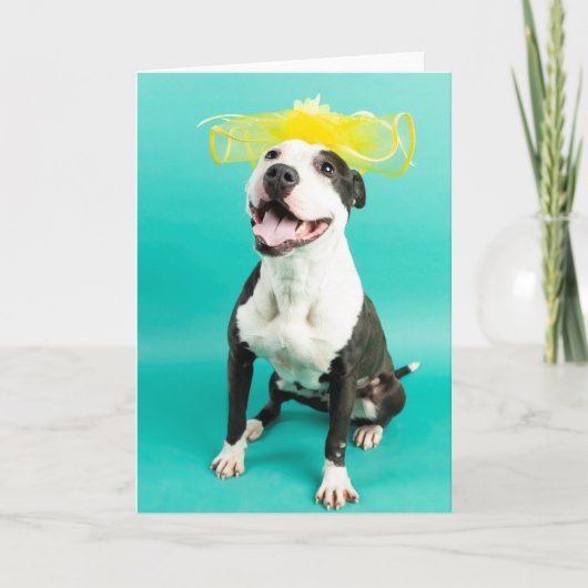 Carte de vœux vierge (Devant)