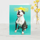 Carte de vœux vierge (Fleur jaune)