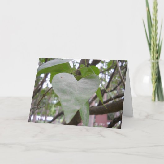 Carte de voeux vierge (Devant)