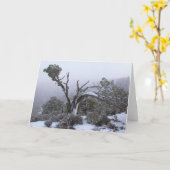 Carte de voeux vierge à l'intérieur de l'arbre d'h (Fleur jaune)