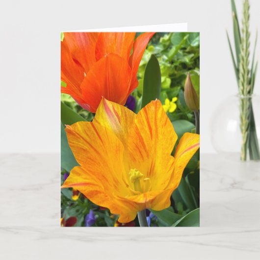 Carte de vœux vierge aux tulipes lumineuses (Devant)