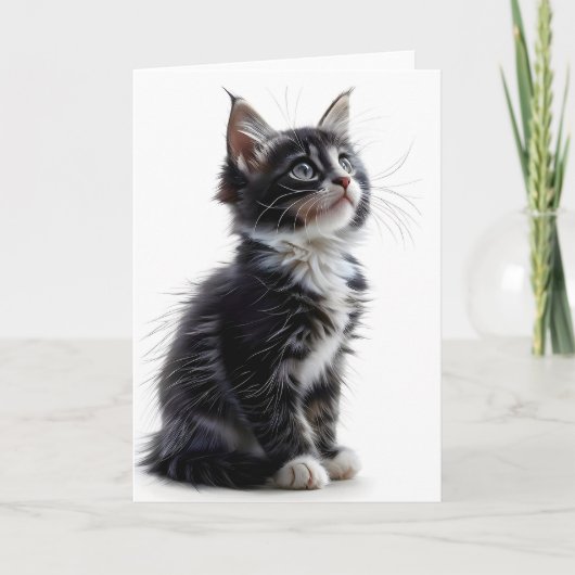 Carte de vœux vierge avec chat à longs poils noir (Devant)