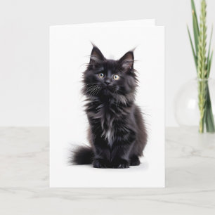 Carte de vœux vierge avec chat noir à poils longs