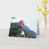 Carte de voeux vierge avec Cockatoos "Kissing" (Fleur jaune)