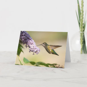 Carte de vœux vierge avec colibri d'Anna