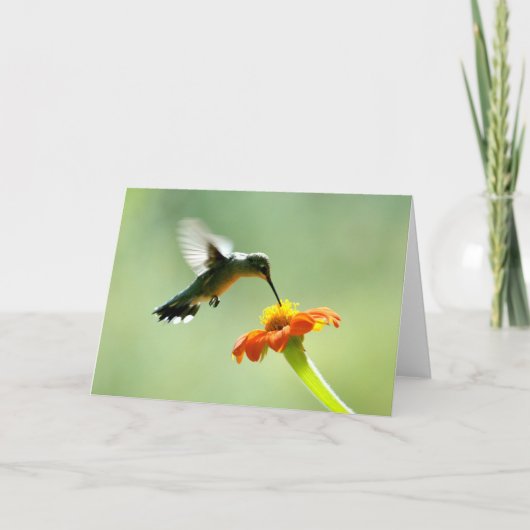 Carte de voeux vierge avec colibri et fleur (Devant)
