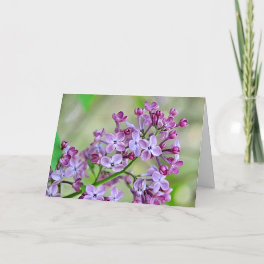 Carte de voeux vierge avec Fleurs Lilac (Devant)