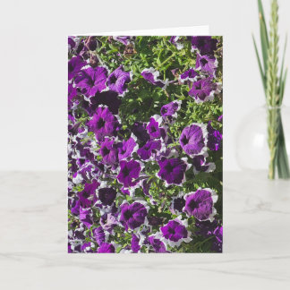 Carte de vœux vierge avec fleurs violettes