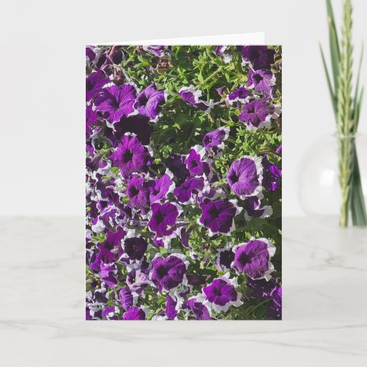 Carte de vœux vierge avec fleurs violettes (Devant)