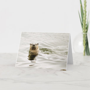 Carte de voeux vierge avec la photo de loutre