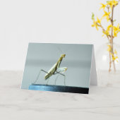 Carte de voeux vierge avec la photo de mante de (Fleur jaune)