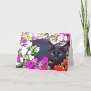 Carte de voeux vierge avec le chat en fleurs