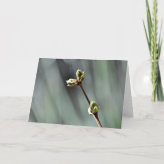 Carte de voeux vierge avec photo Budding Lilac