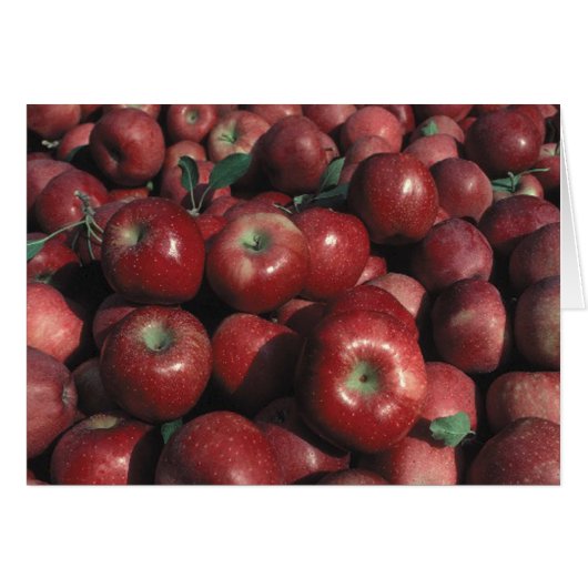 Carte de vœux vierge avec photo de pomme Red Delic (Devant horizontal)