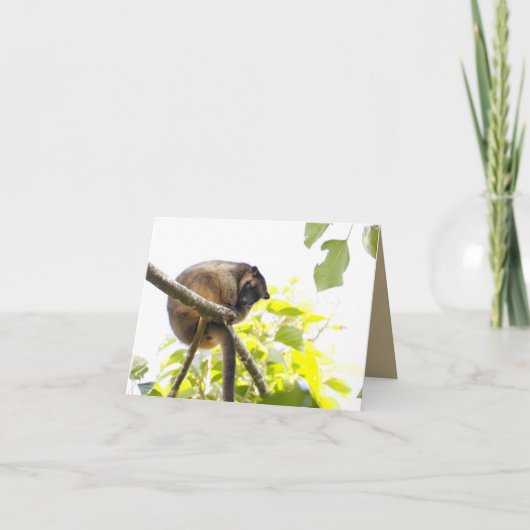 Carte de voeux vierge avec Tree Kangaroo (Devant)