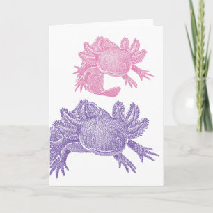 Carte de vœux vierge Axolotl - ROSE & VIOLET
