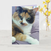 Carte de vœux vierge Chat Calico (Fleur jaune)