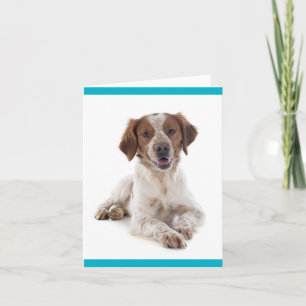Carte de vœux vierge Chien chiot Brittany Spaniel