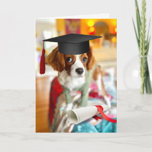 Carte de vœux vierge chiot Cavalier King Charles