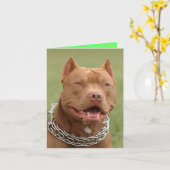 Carte de vœux vierge chiot Pitbull (Fleur jaune)