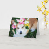 Carte de vœux vierge Corgi à la guirlande de fleur (Fleur jaune)