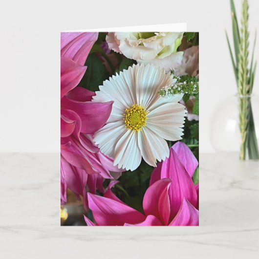 Carte de vœux vierge Cosmos d'été (Devant)