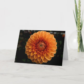 Carte de vœux vierge Dahlia Balle Orange