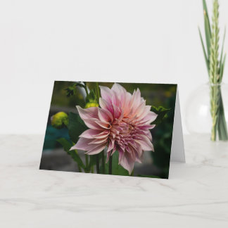 Carte de vœux vierge Dahlia rose