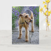 Carte de voeux vierge d'Airedale Terrier (Fleur jaune)