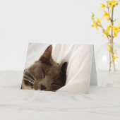 Carte de voeux vierge de chat mignon de sommeil (Fleur jaune)