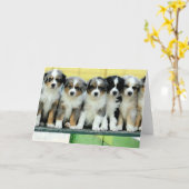 Carte de voeux vierge de chiots australiens de (Fleur jaune)