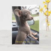 Carte de voeux vierge de chiwawa - pensant à vous (Fleur jaune)