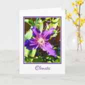 Carte de voeux vierge de clématite (Fleur jaune)