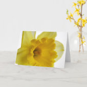 Carte de voeux vierge de jonquille (Fleur jaune)