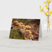 Carte de voeux vierge de photo (Fleur jaune)