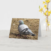 Carte de voeux vierge de pigeon (Fleur jaune)
