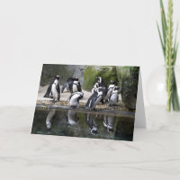 Carte de voeux vierge de pingouin