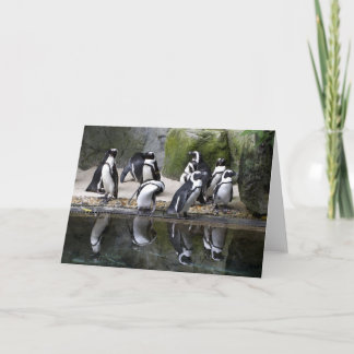 Carte de voeux vierge de pingouin